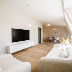 Boardinghouse-Wohnraum-mit-Dachfenster